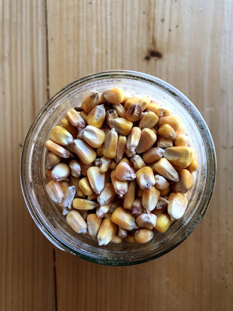 Non-GMO Shelled Corn 50lbs 3rd Listing Product Picture