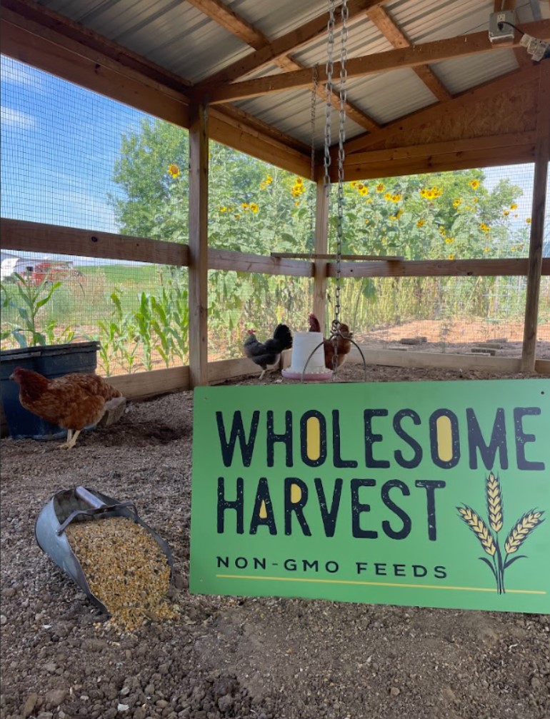 Wholesome Harvest Chick Starter 40lbs