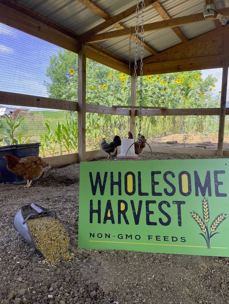 Wholesome Harvest Chick Starter 25lbs