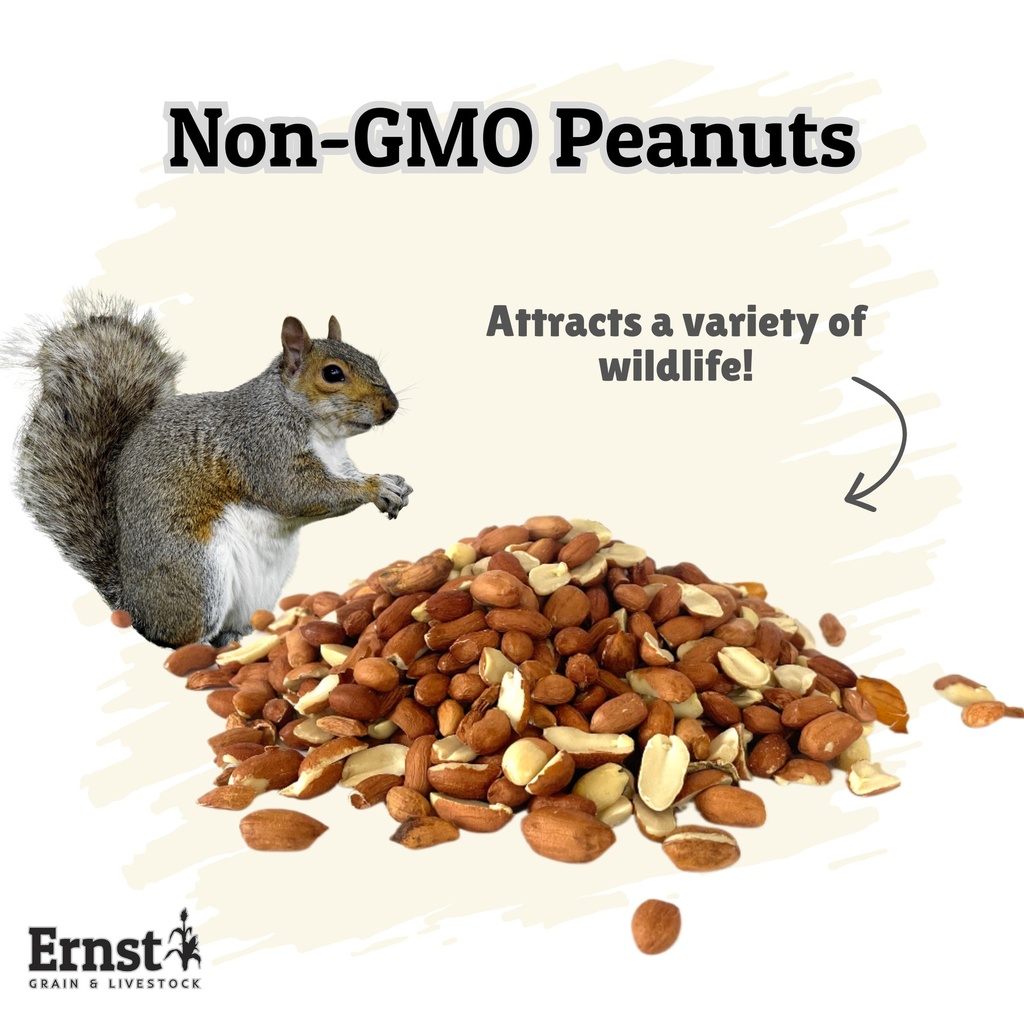 Apple Scented Corn 50lb 1st Listing Product Picture