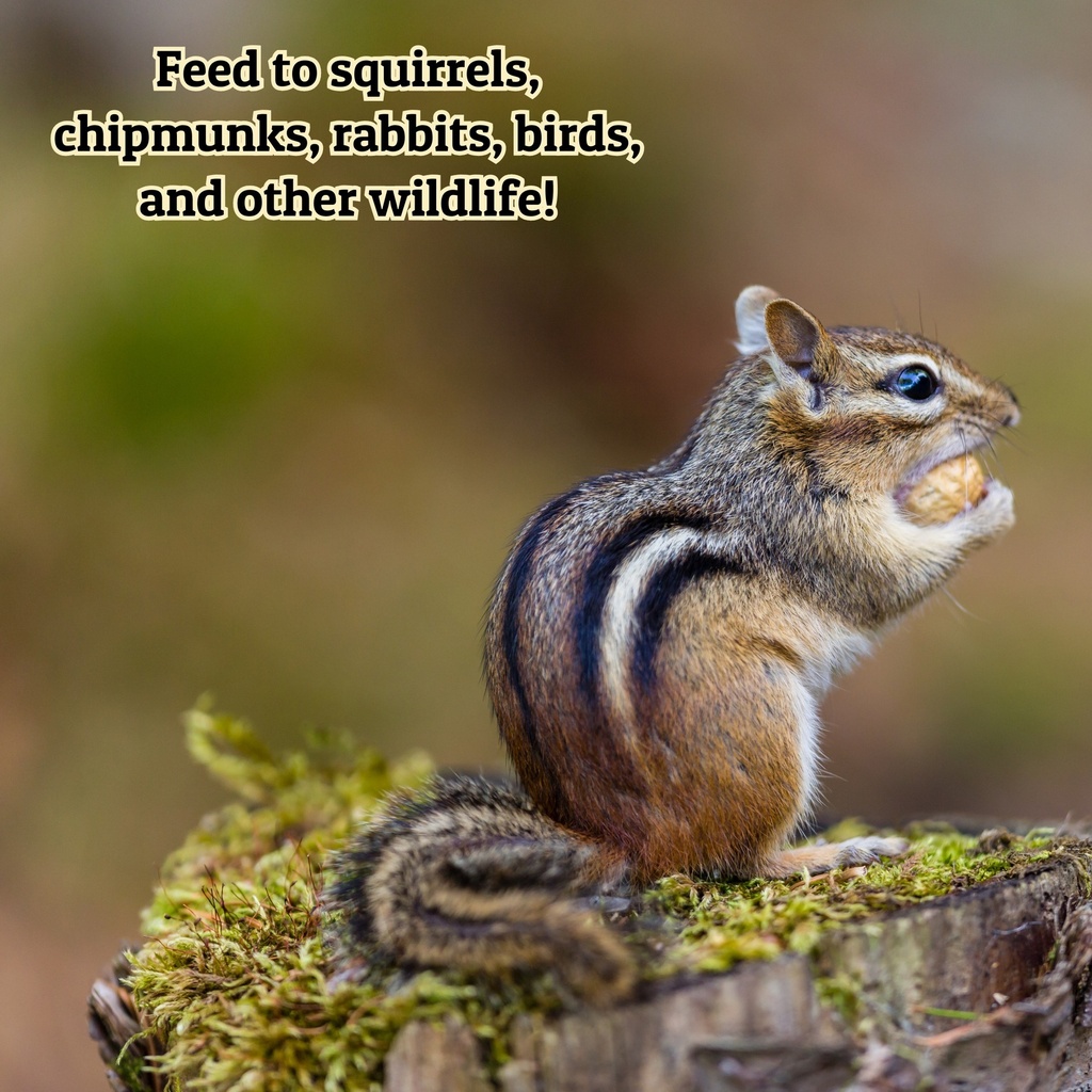 Apple Scented Corn 50lb 5th Listing Product Picture