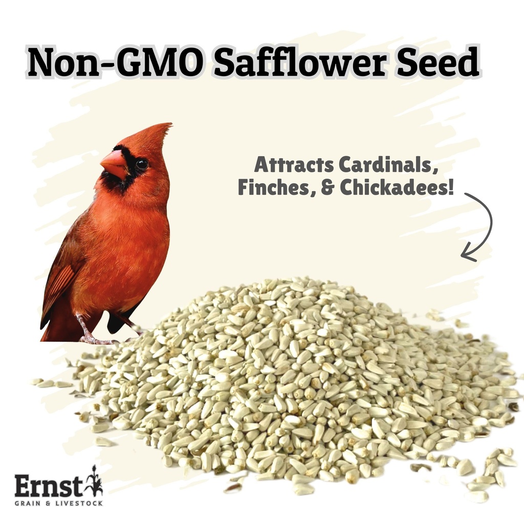 Non-GMO Safflower Seed