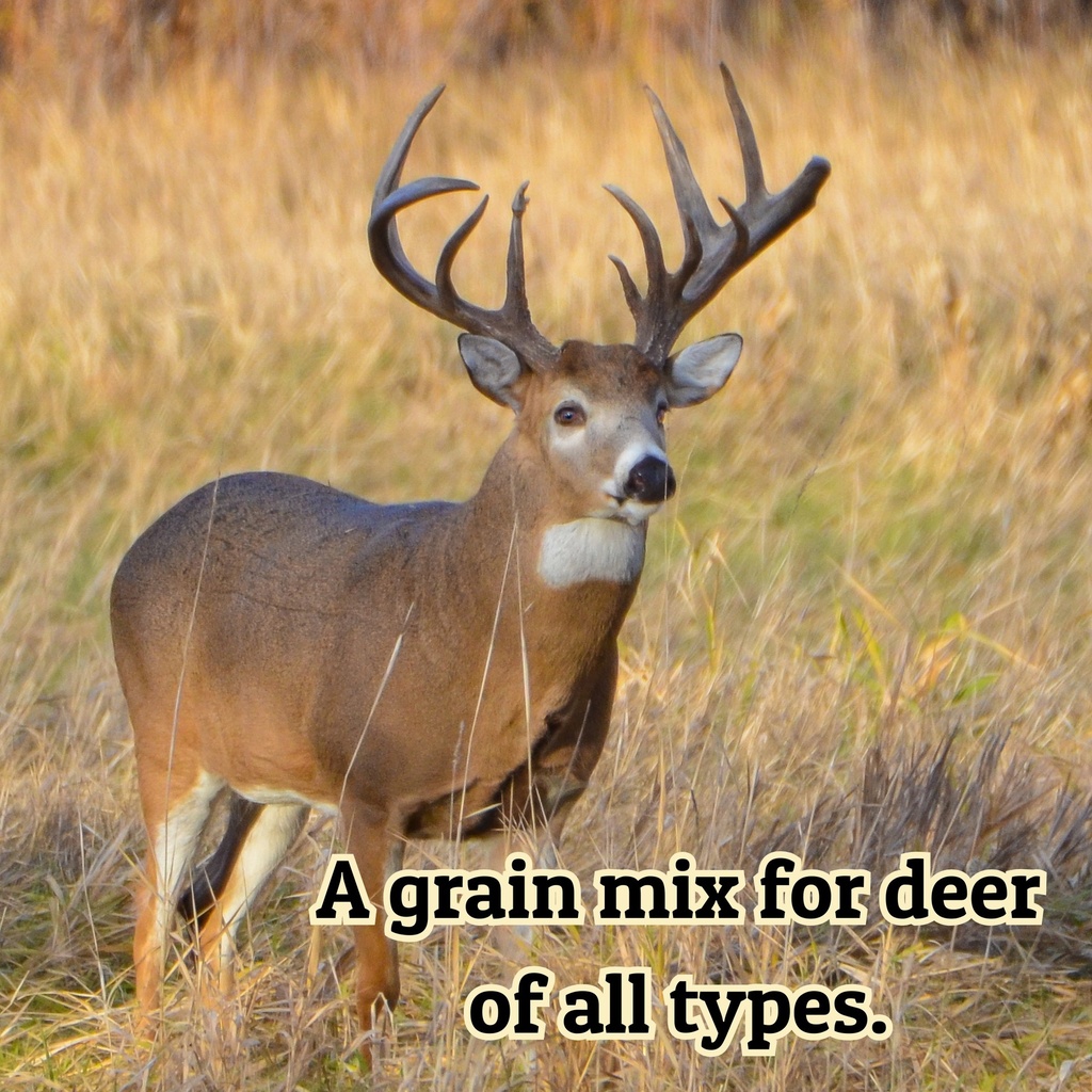 Cherry Craze Sweet & Salty Deer Attractant