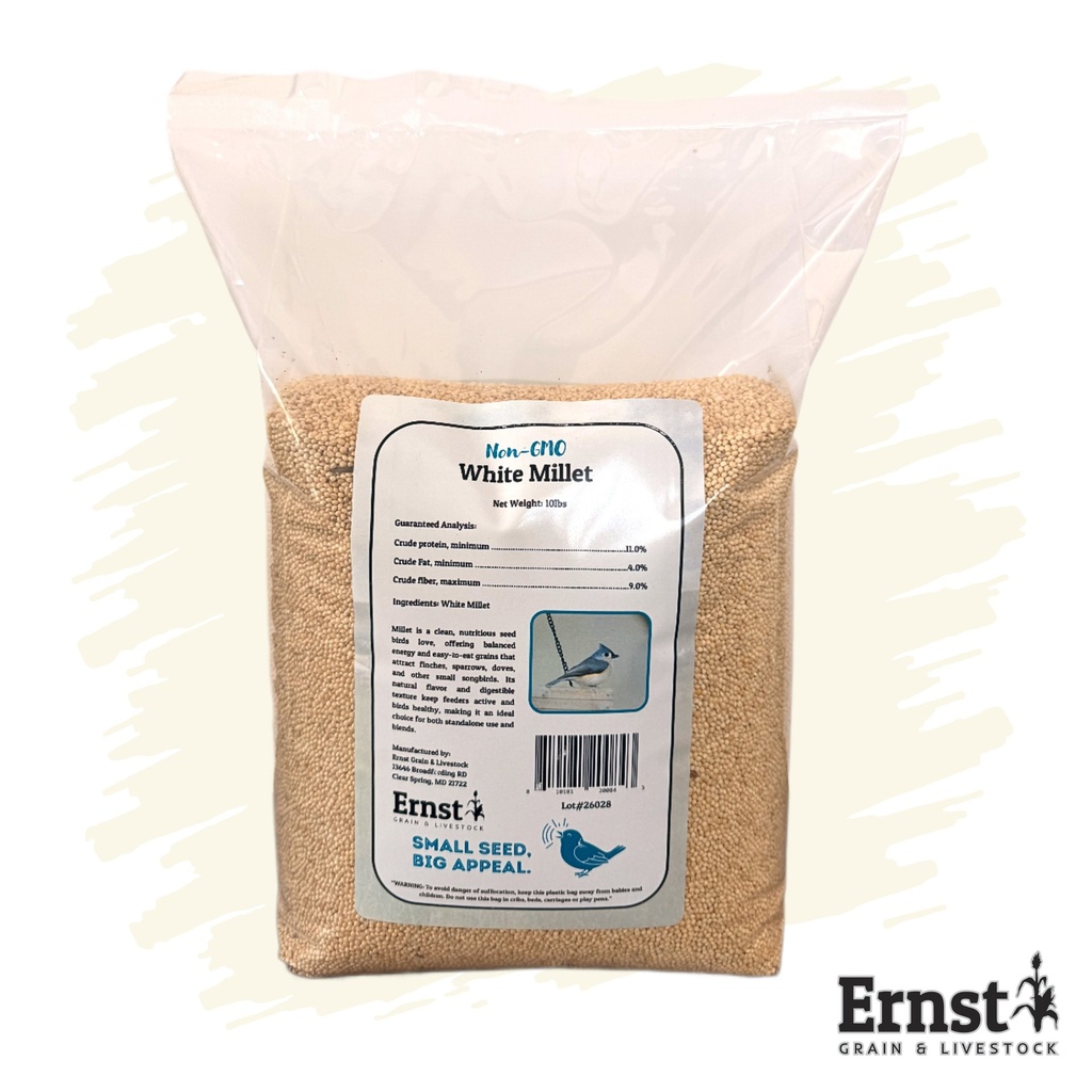 Non-GMO White Millet