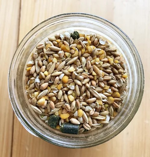 Wholesome Harvest Soy Free-Corn Free Potbelly & Mini Pig Feed