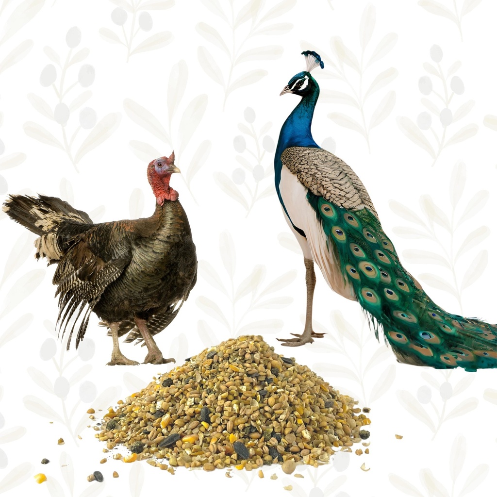 Wholesome Harvest Turkey & Game Bird Starter