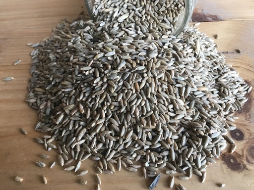 Non-GMO Rye 25lbs