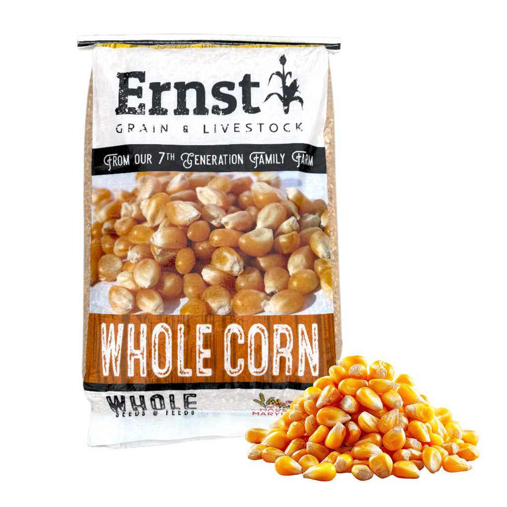 [43016] Whole Corn (Deer Corn)  (10lb)