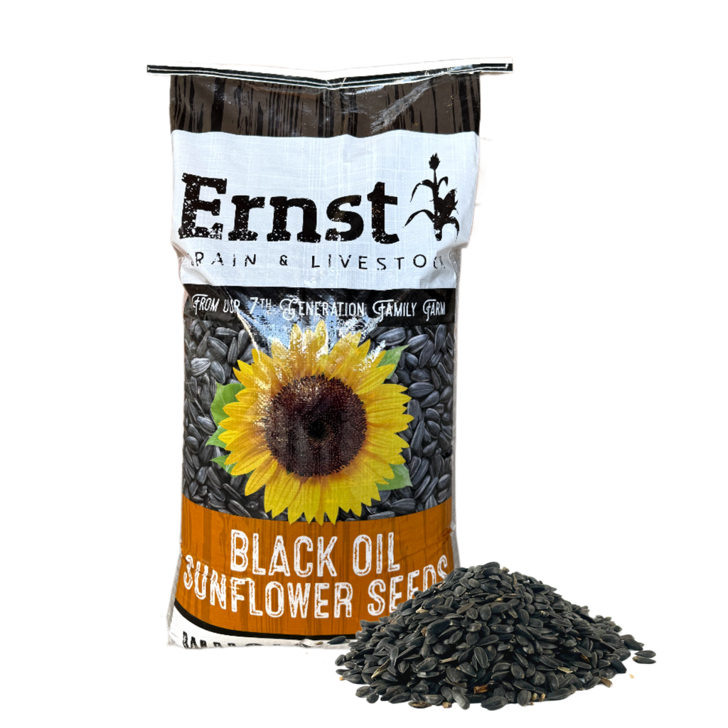 [43014] Non-GMO Black Oil Sunflowers (7lb)