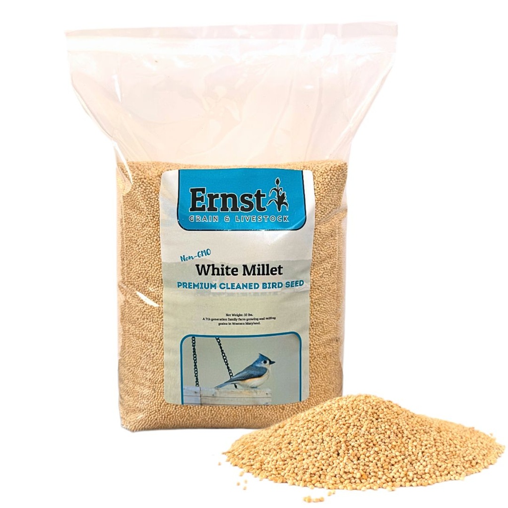 [46373] Non-GMO White Millet (10lb)