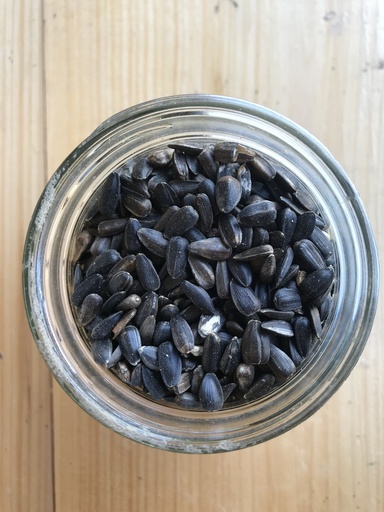 Non-GMO Black Oil Sunflowers