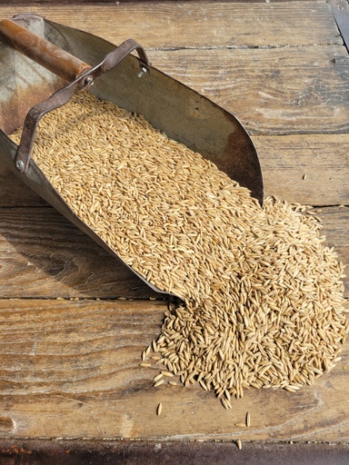 [38671] Non-GMO Oats 46lbs
