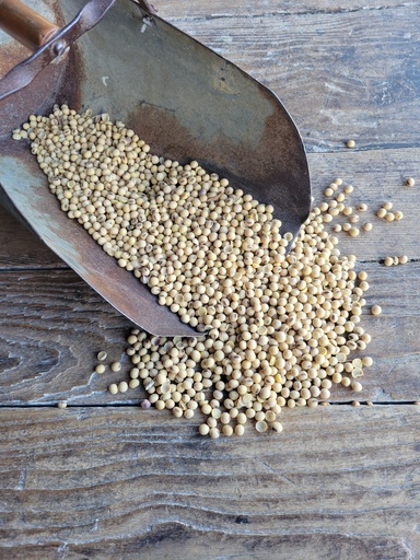 [39199] Non-GMO Soybeans 46lbs